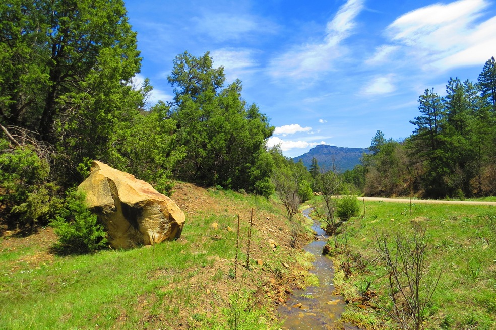 33785 Hiddenwood Ln unit C52, Trinidad, CO - photo 1