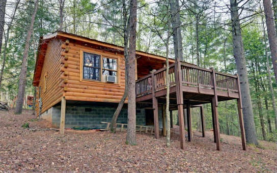 Main View