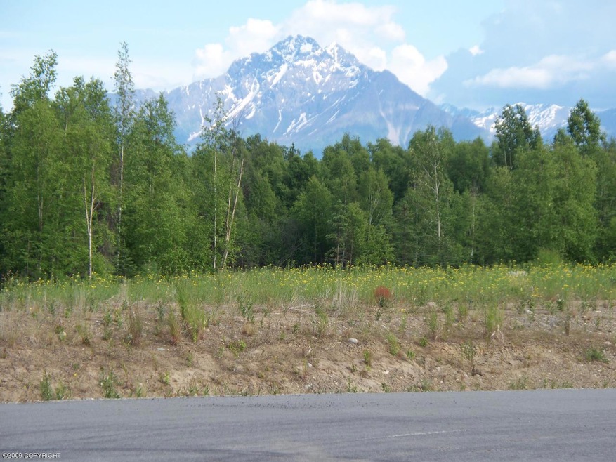Mountain view from some lots