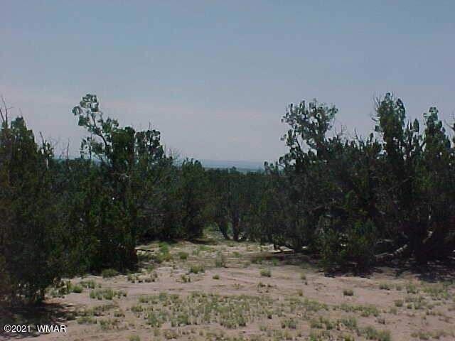 view of lot 179