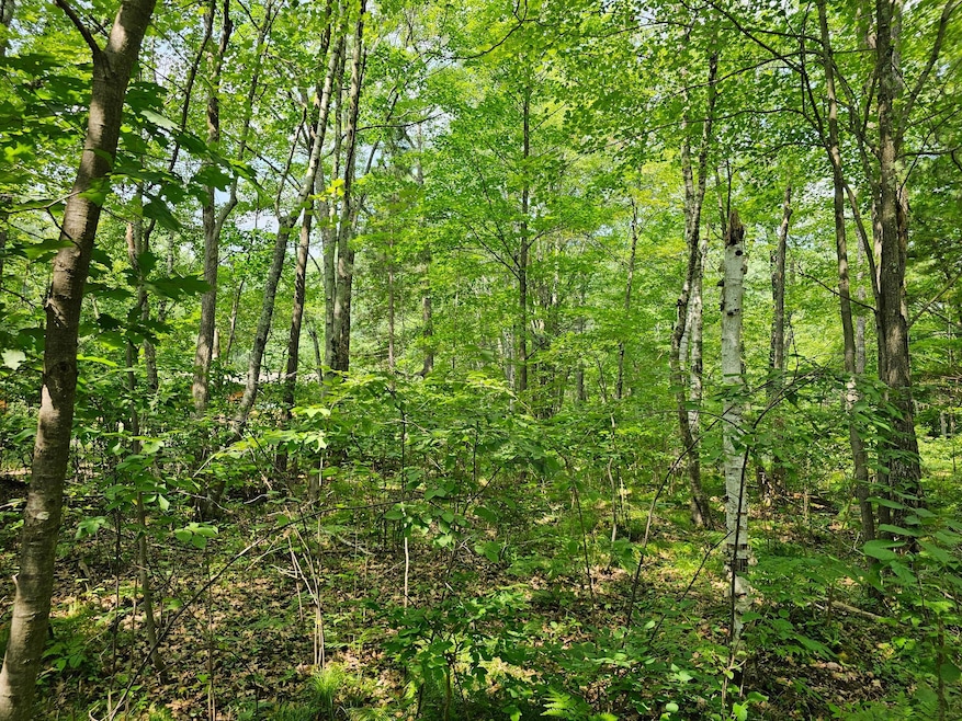 ON Marie Ln, Minocqua, WI 54548 - photo 1