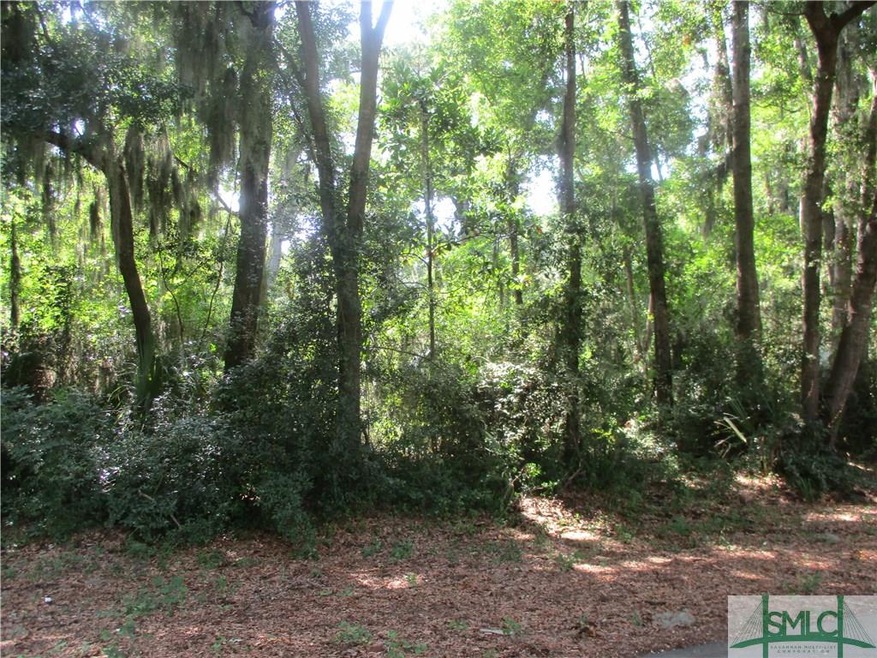 Wooded lot near large park at southern end of Wilmington Island --Walthour Rd just off Kessel