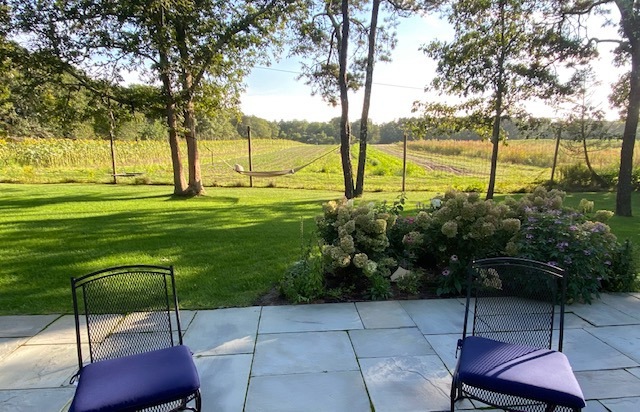 View from patio