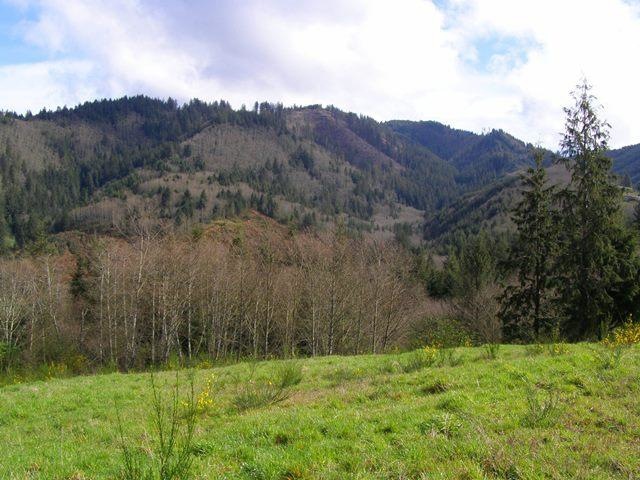P3180247.JPG