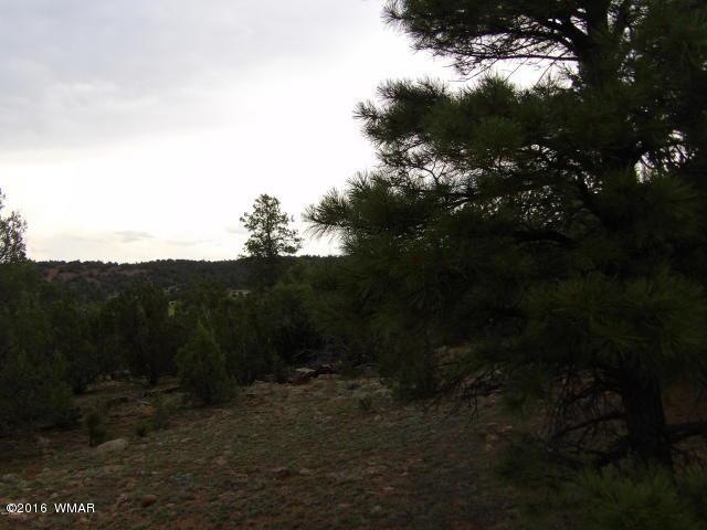 0 Linden unit 219720, Show Low, AZ 85901 - photo 1