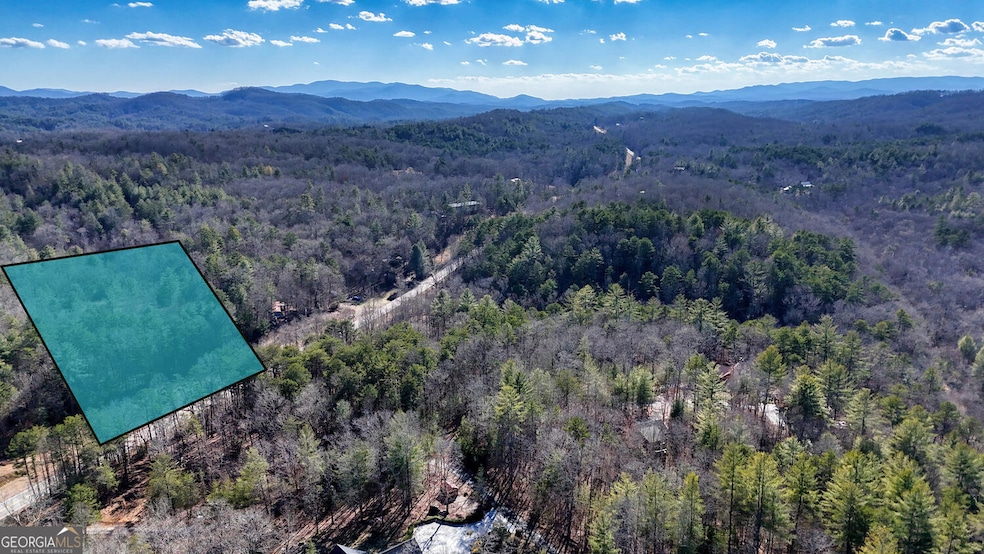 0 Murphy Hwy unit 10469213, Mineral Bluff, GA 30559 - photo 1