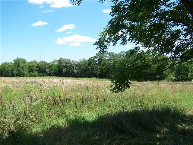 Pic 1