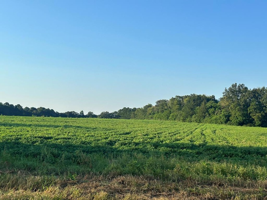 0 Judge Logue Rd, Wicksburg, AL 36352