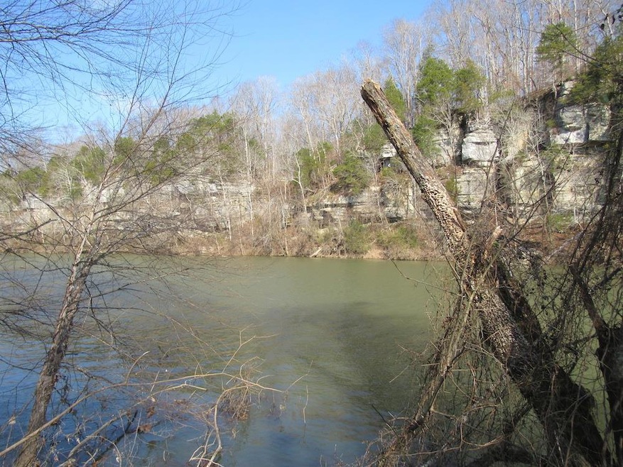 0 Dailey Loop unit 1796769, Linden, TN 37096 - photo 1