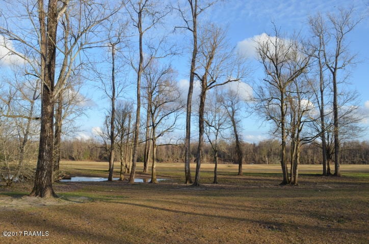 13 Callie Dr, Breaux Bridge, LA 70517 - photo 1