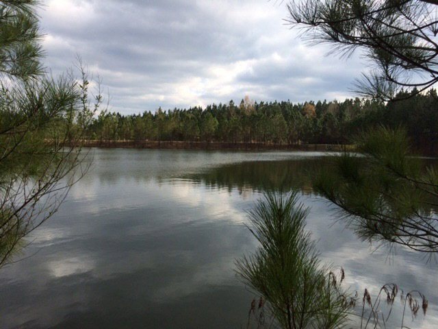 904 Horseshoe Lake Cove, Oxford, MS 38655 - photo 1