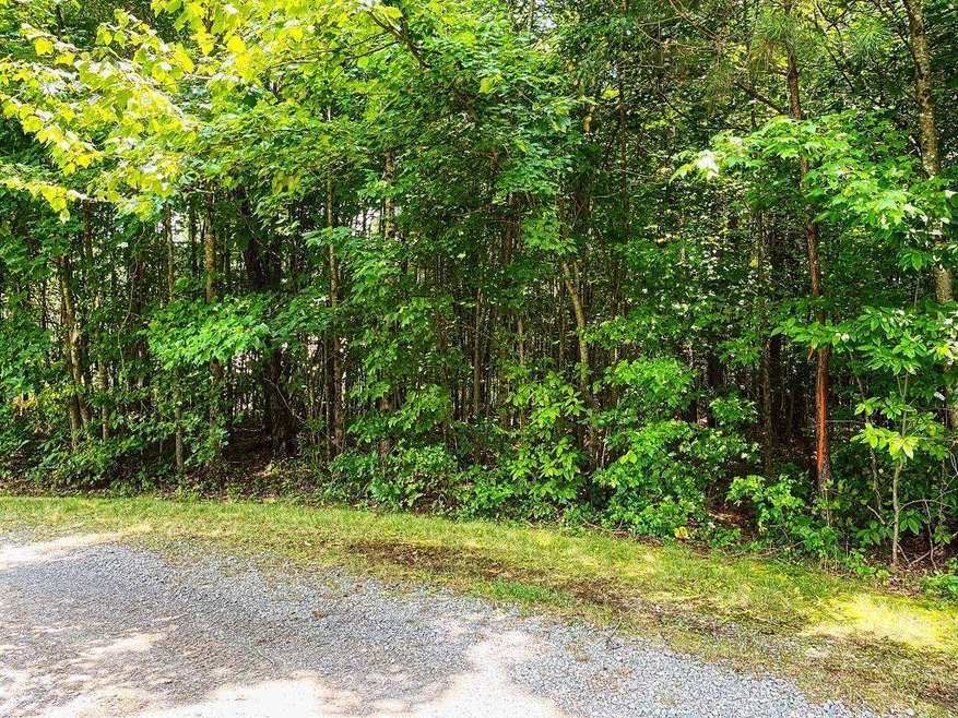 0 Tyler Dr unit LT 16 9027721, Talking Rock, GA 30175 - photo 1