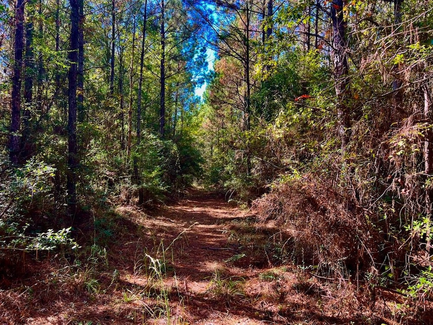 0 Old Salt Rd unit LotWP001, Sumrall, MS 39482 - photo 1