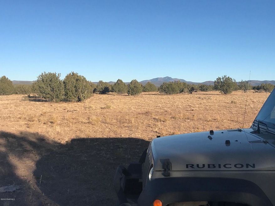 41 N Honeysuckle Rd, Ash Fork, AZ 86320 - photo 1