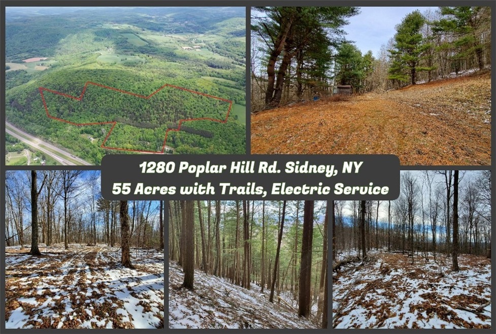 1 Poplar Hill Rd, Sidney Center, NY 13849 MLS OD134441