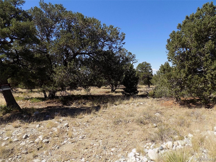 0 Mill Run Rd, Mosca, CO 81146 - photo 1