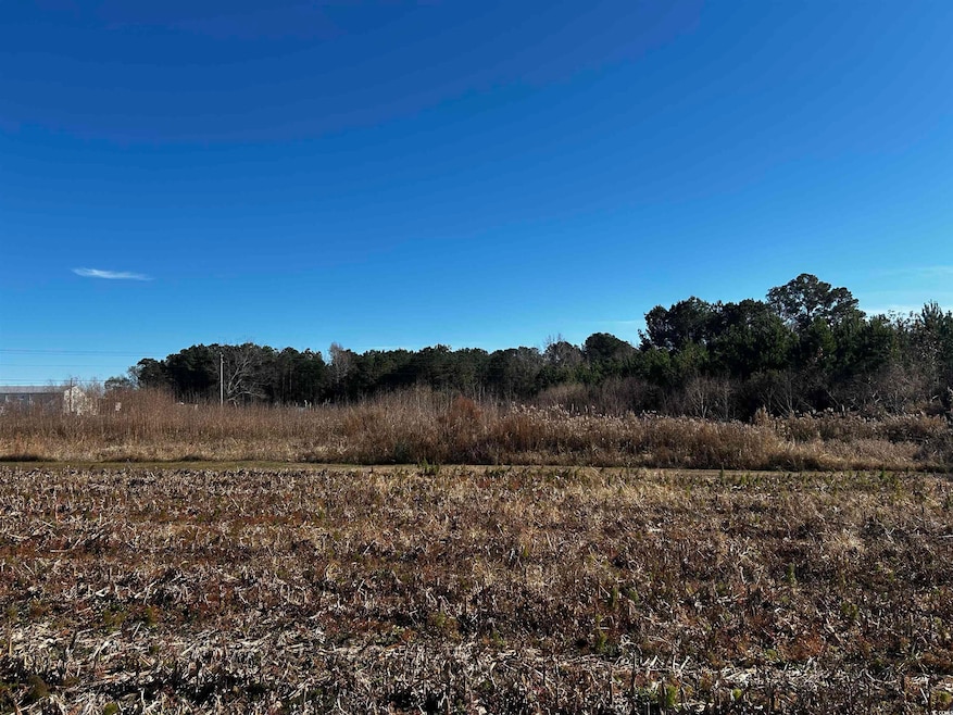 1.70 Acres-TBD State Road S-26-140, Loris, SC 29569 - photo 1