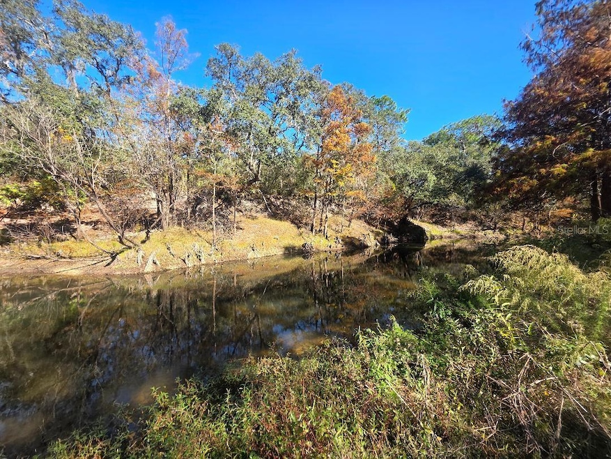 33039 Round Table Rd, Dade City, FL 33523 - photo 1