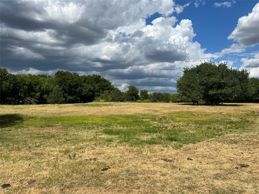 TBD S Main St, Ector, TX 75439 - photo 1