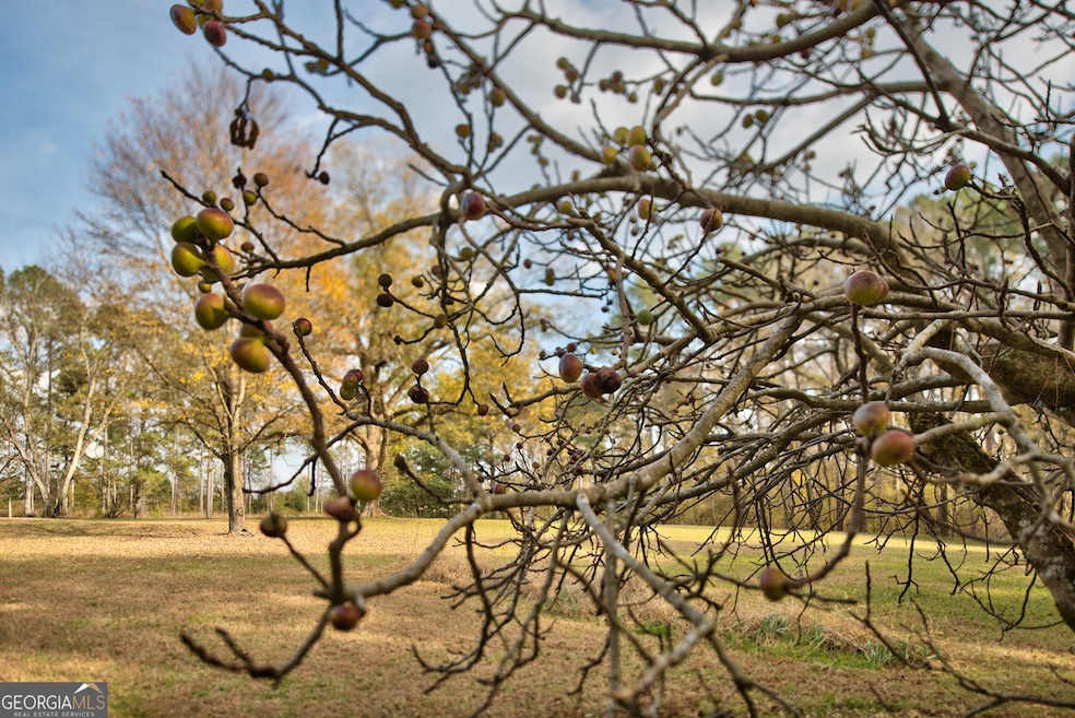 5140 Seven Islands Rd, Madison, GA 30650 - photo 1