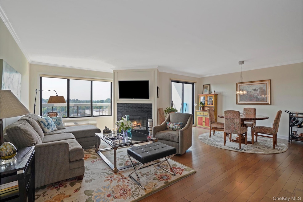 High Point of Hartsdale unit PH6, Hartsdale, NY 10530 - photo 1