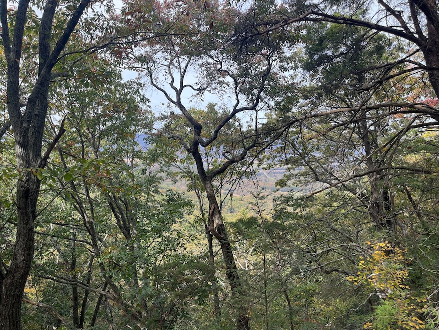 30 Ssr Dr, Pikeville, TN 37367 - photo 1