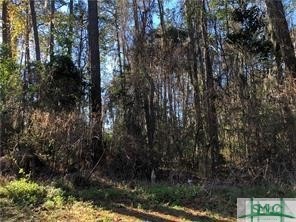 0 Grant St, Thunderbolt, GA 31404 - photo 1