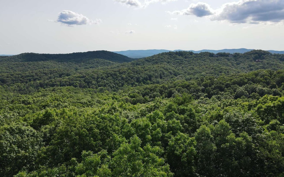 LT 30 Saw Blade Ln, Ellijay, GA 30540 - photo 1