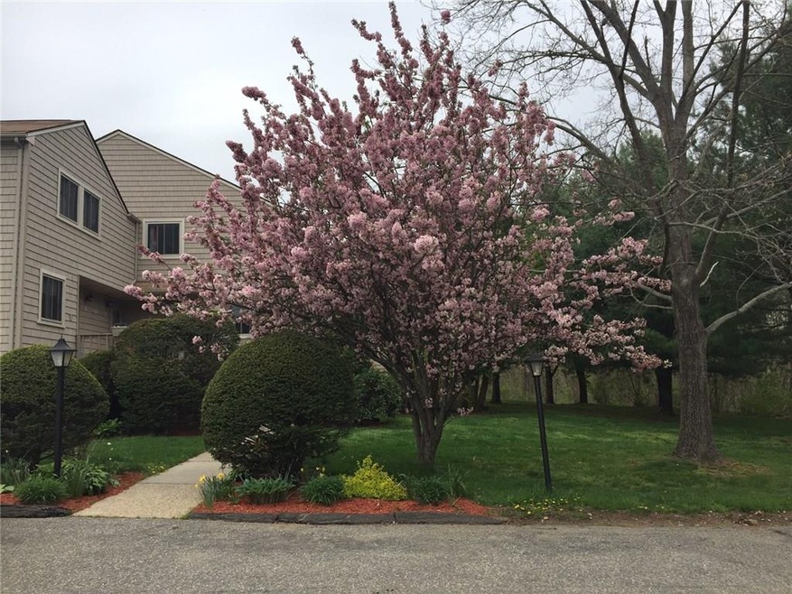 Condominium is surrounded by beautiful flowering t