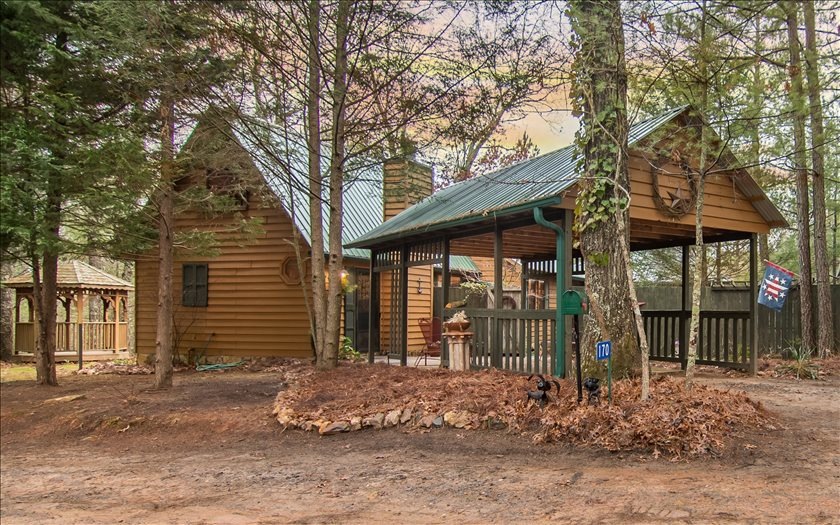 170 Black Bear Path, Mineral Bluff, GA 30559 - photo 1