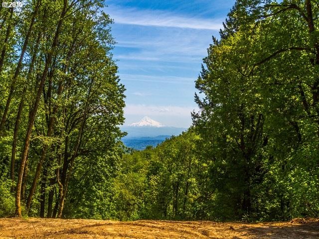 2950 NW 53rd Dr, Portland, OR 97210 - photo 1