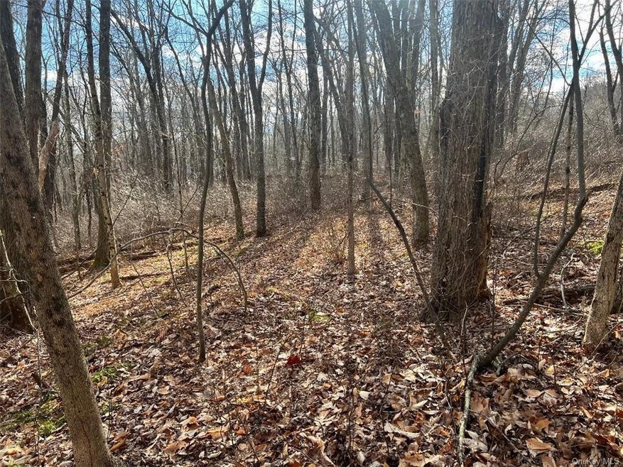 0 Highview Rd unit ONEH6267392, Union Vale, NY 12522 - photo 1