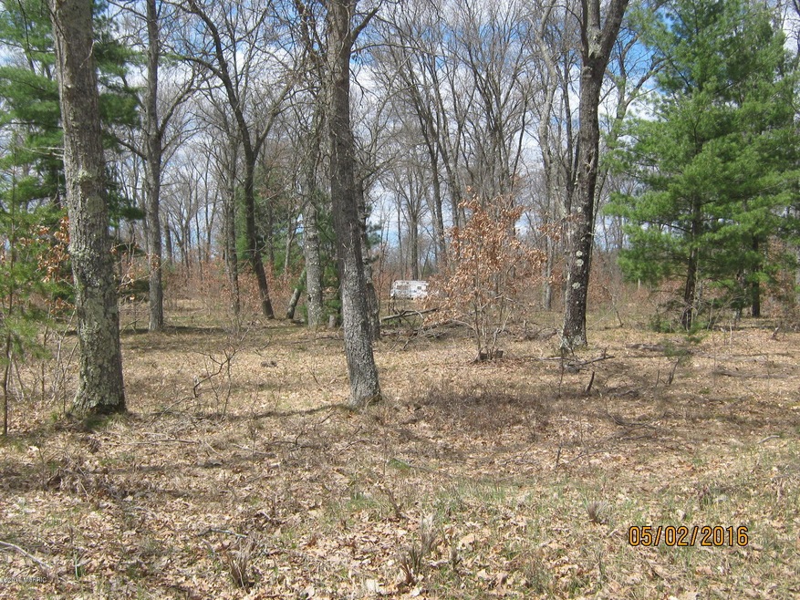 0 Peacock Trail Parcel ''B'', Baldwin, MI 49304 - photo 1