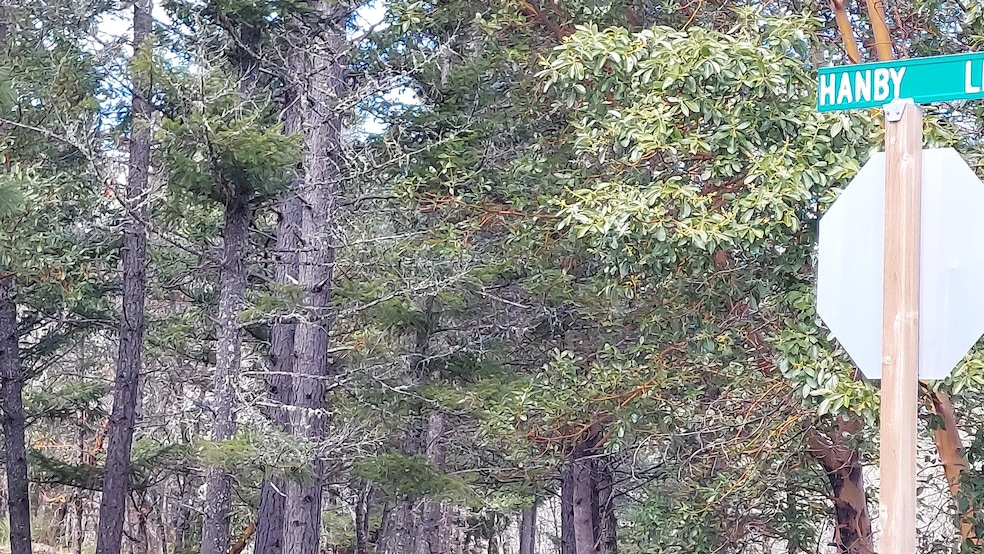 000 Redwood Hwy, Cave Junction, OR 97523 - photo 1