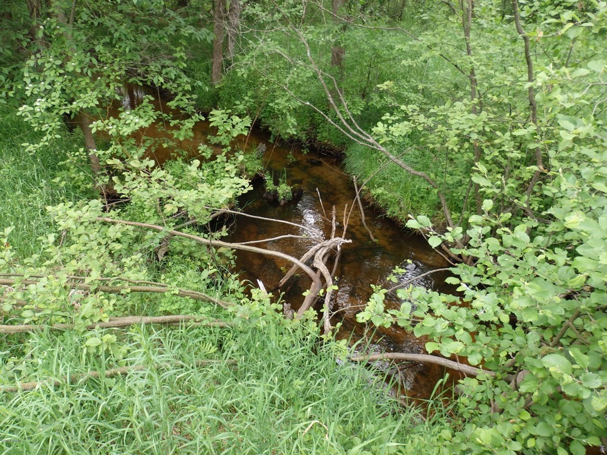 P6050143