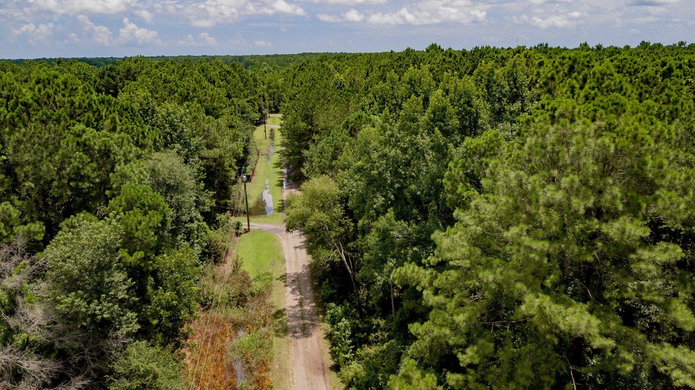 Louis Miles Road