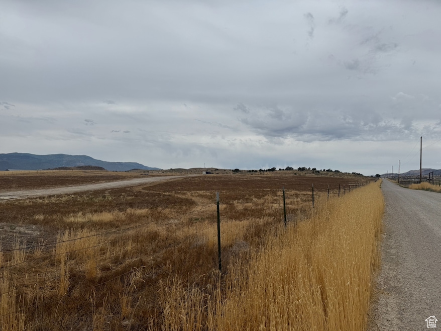 View of dirt / gravel road featuring a rural view