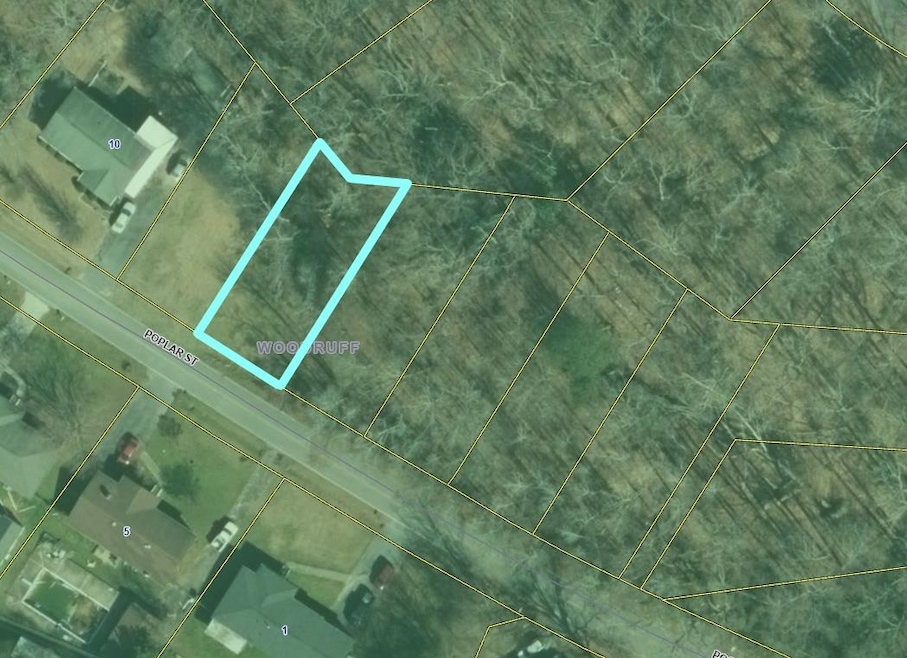 0000000 Poplar St, Woodruff, SC 29388 - photo 1