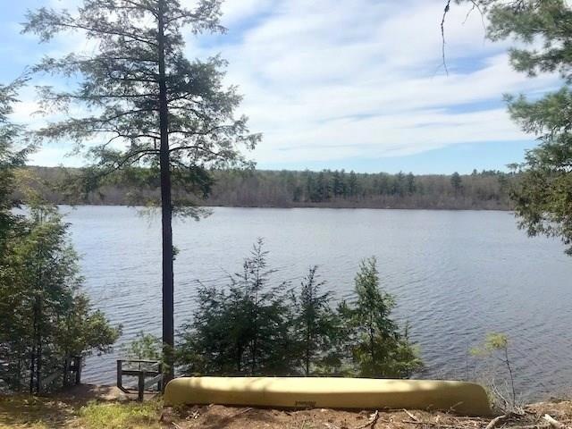 Welcome to Pattee's Pond!