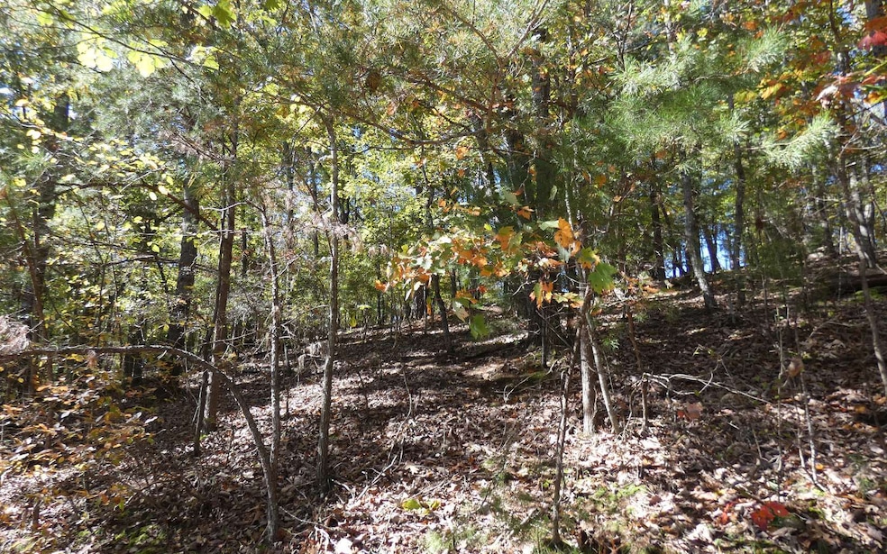 446BL Riverview Dr, Ellijay, GA 30540 - photo 1