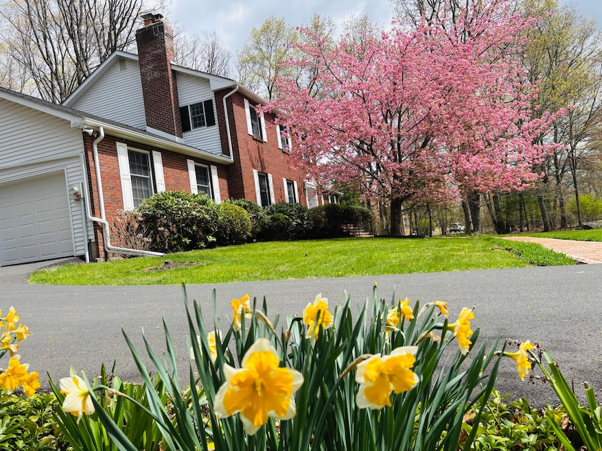 Spring