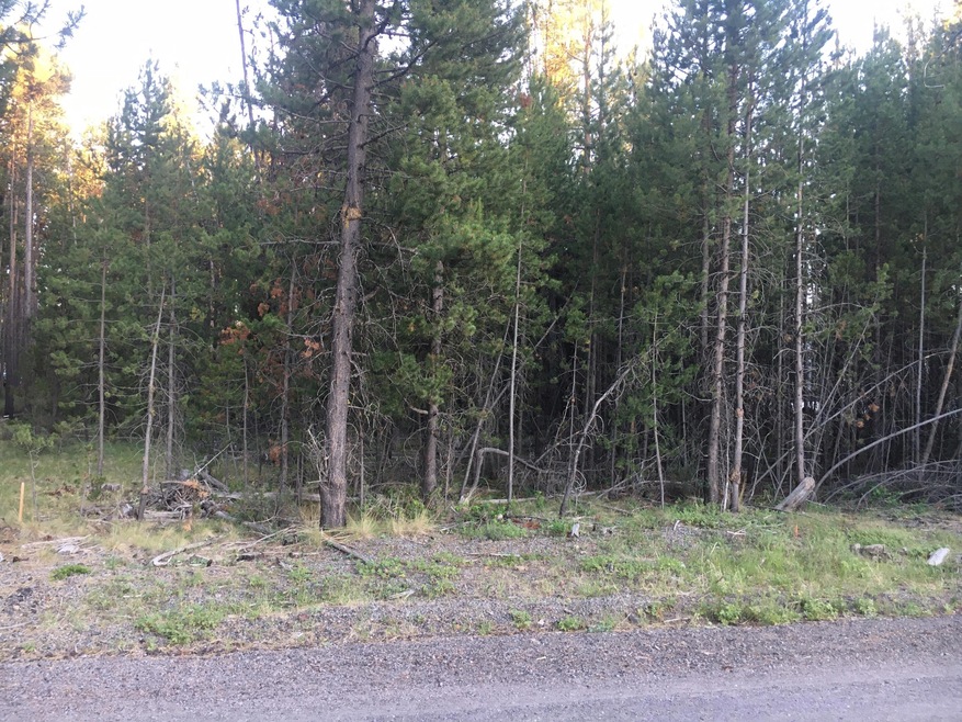Image (1)