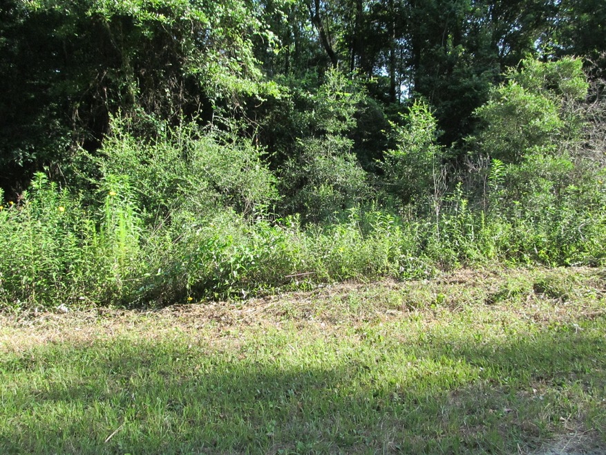 Magnolia crossing lot 006