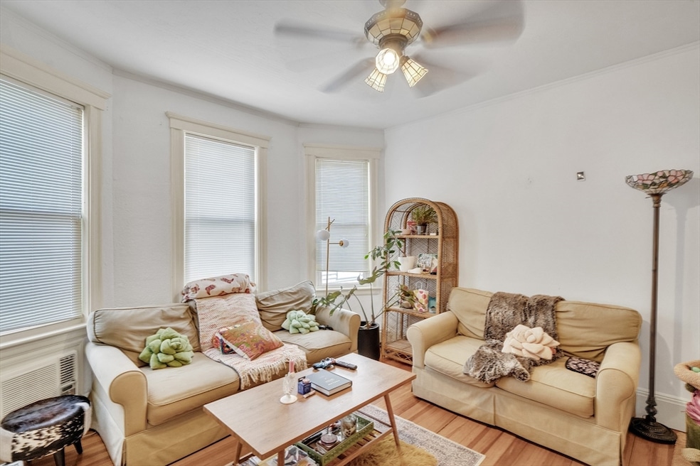 33 Shannon St unit 1, Brighton, MA 02135 - photo 1