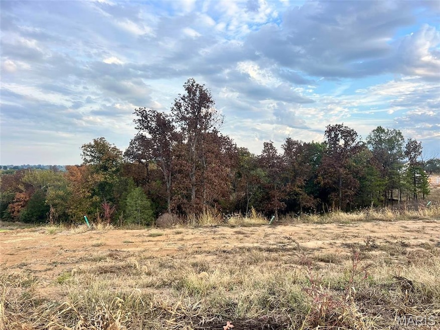 2377 Fiddler's Close Rd unit 115 STB, Washington, MO 63090 - photo 1