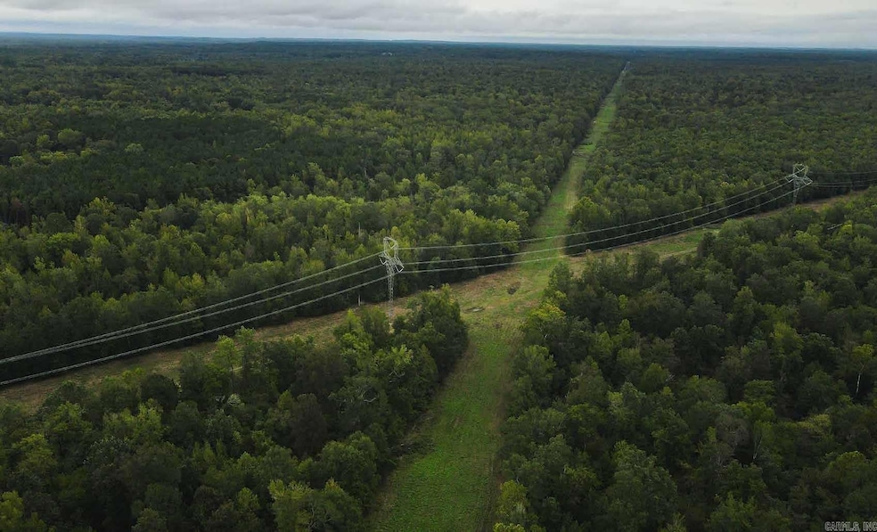 TBD Forrest Rd Fields, Malvern, AR 72104 - photo 1