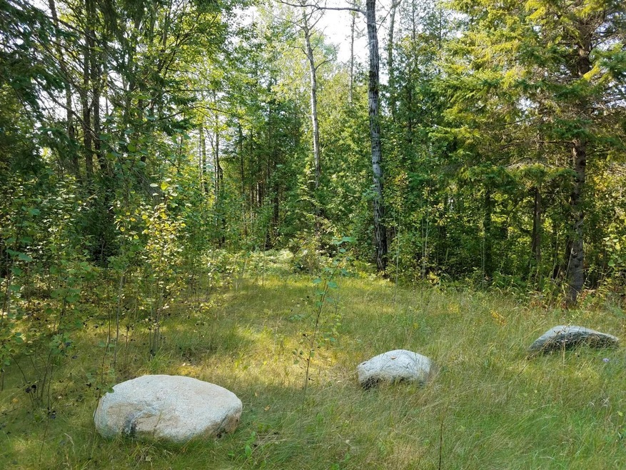 Beautiful Woodlands
