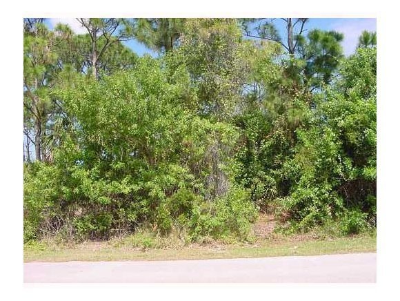 0 Barber St unit 631771, Sebastian, FL 32958 - photo 1