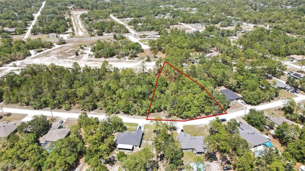 10489 Maybird Ave, Weeki Wachee, FL 34613 - photo 1