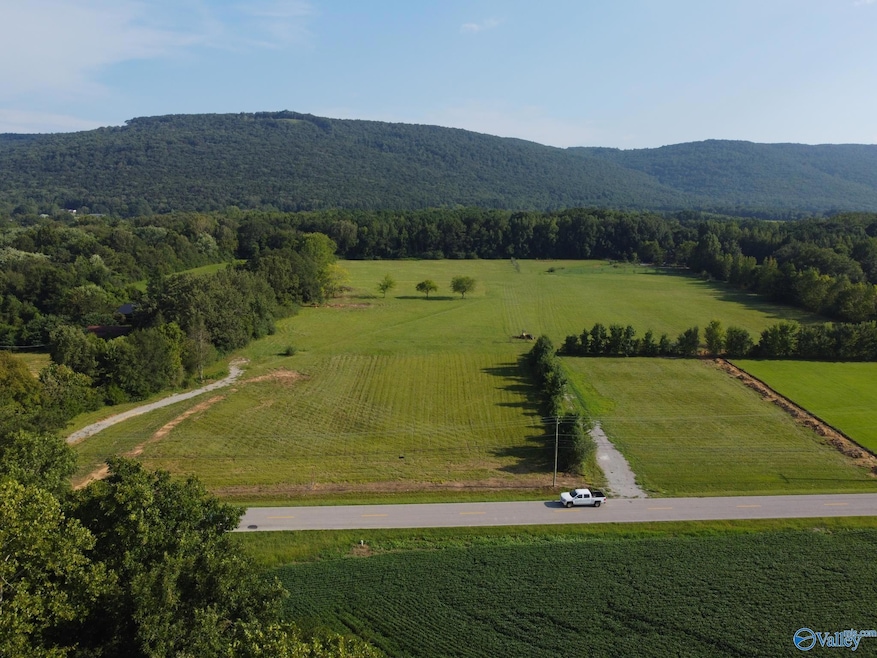 310 - 1C Little Cove Rd, Gurley, AL 35748 - photo 1